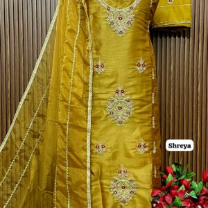 Burberry shimmer designer shirt with hand work (SHREYA)