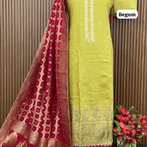 Modal Musleen designer shirt (BEGUM)